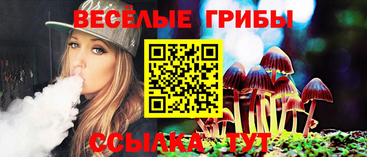 Галлюциногенные грибы мицелий  Вход с VPN  Шатура 